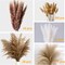 300 Pcs Dried Pampas Grass Bulk, Boho Dried Flowers Bouquet Pampas Grass Decor